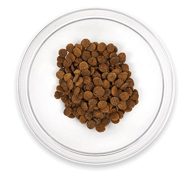H-product-dogs-img-hover