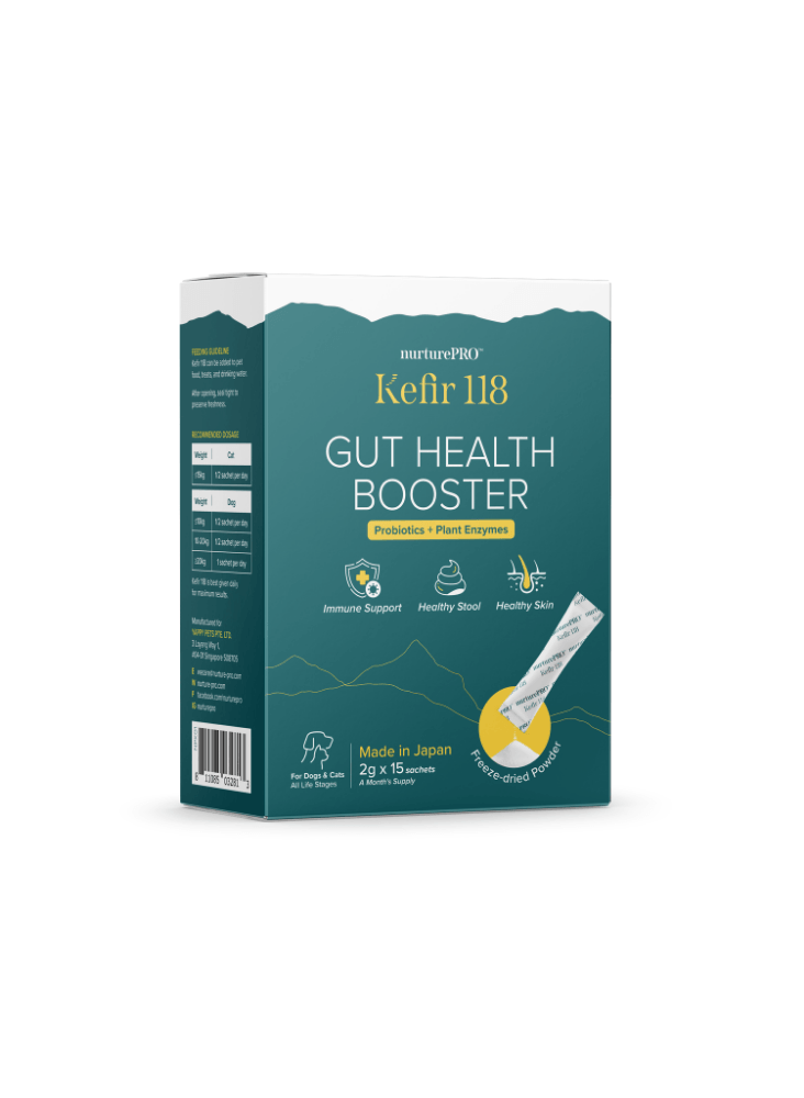 P-Kefir-118-gut-health-booster-01